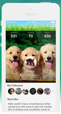 興趣社交 網(wǎng)絡(luò )社交 微群組