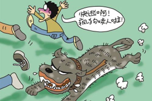 網(wǎng)站收錄在網(wǎng)站優(yōu)化中起到什么作用？