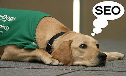 哪些類(lèi)型的改動(dòng)會(huì )影響到網(wǎng)站的seo？