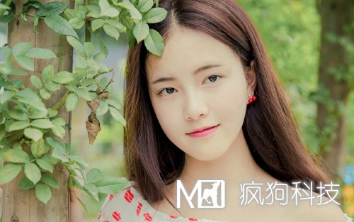 2017年網(wǎng)站推廣的20個(gè)方法策略？