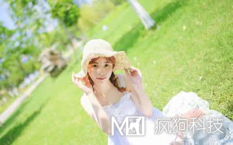 網(wǎng)站SEO優(yōu)化中應該查看哪些數據？