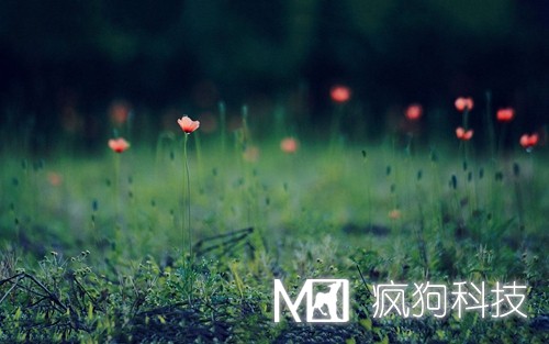 如何提高網(wǎng)站粘度，增加網(wǎng)站回頭客？